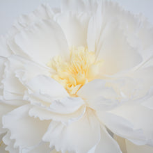 ELOISE - Giant Crepe Paper Flower for Hire
