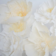 Giant crepe paper flowers for hire