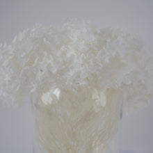 White Hydrangea Preserved Flower Crown - Large